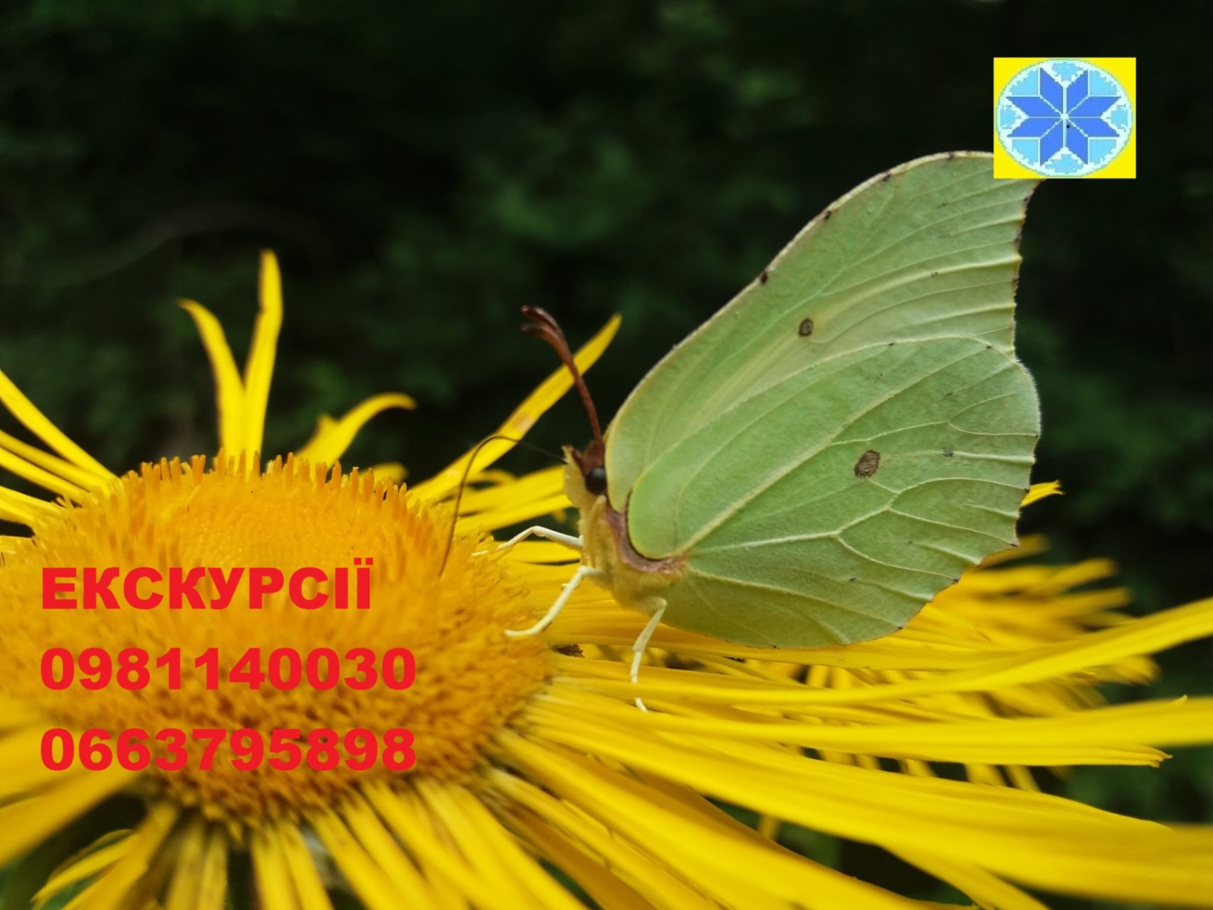 Екскурсовод Яремче Екскурсії Екскурсія