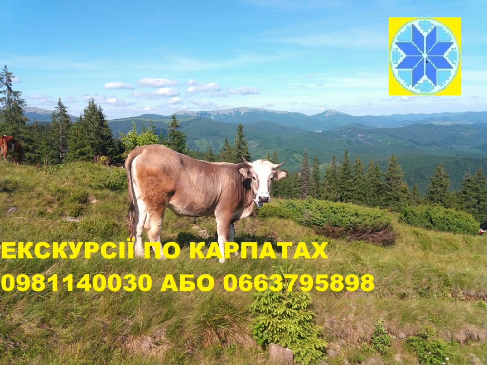 Екскурсовод Яремче Екскурсії Екскурсія