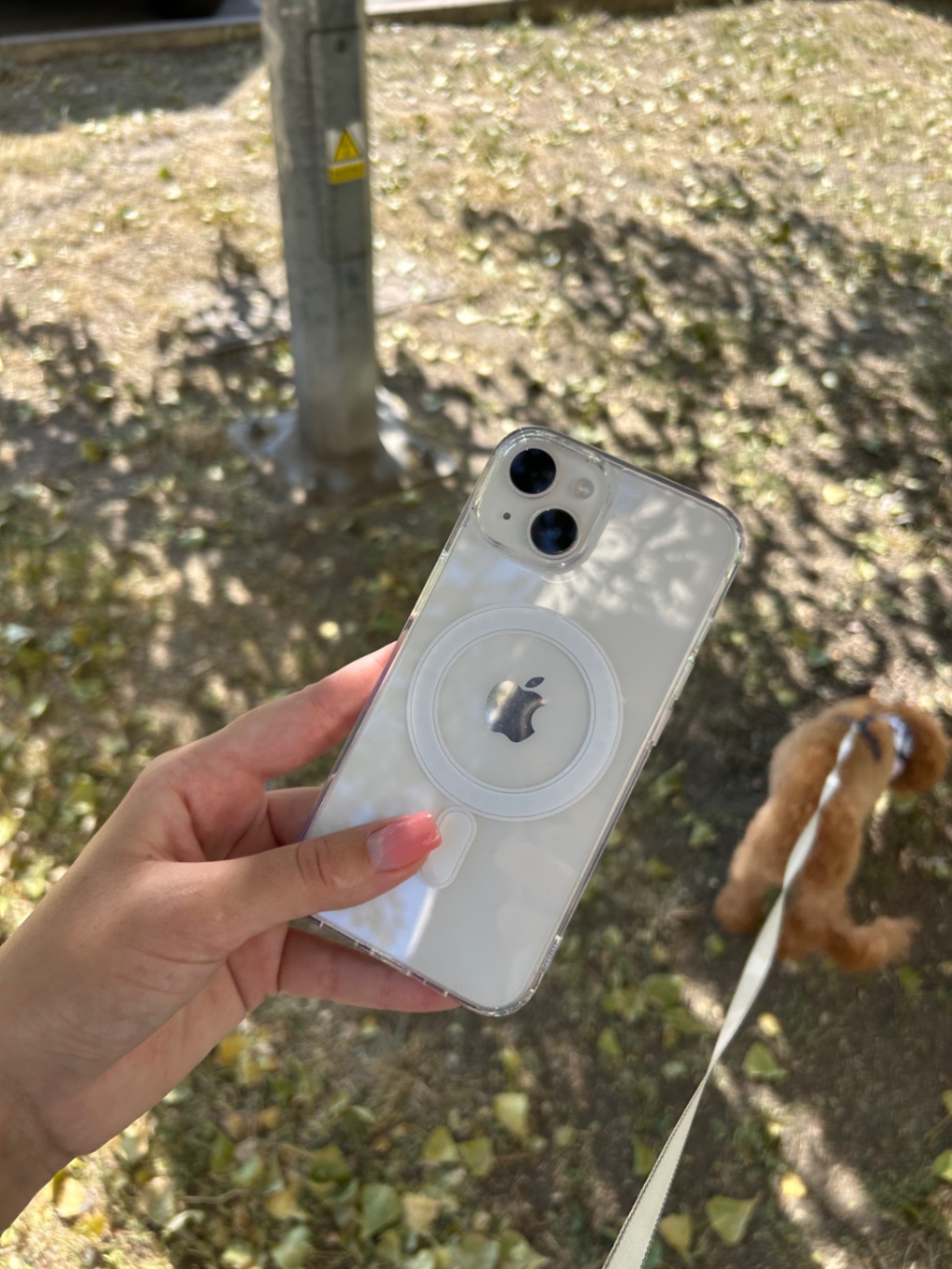 MagSafe чохол на iPhone