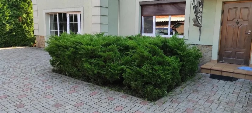 Я подбаю про ваш сад